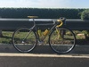 Titanium Banana Litespeed Classic photo