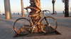 Titanium Track Bike photo