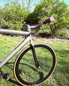 Titanium Track / Litespeed? photo