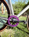 Titanium Track / Litespeed? photo