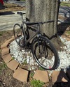 Titanium Track / Litespeed? photo