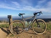 Titanium Salsa Vaya photo