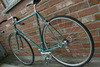 TJ Quick Fillet Braised Road Bike photo