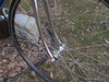 Tommasini Prestige photo