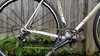 Tommasini Prestige photo