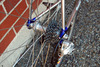 Tommasini Sintesi photo