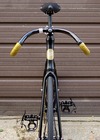 Nexus Fresco (Black/Gold) photo