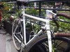 toyo bike photo