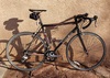 Trek 1.2  2008 photo