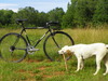 Trek 750 Multi-Track photo