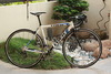 Trek Alpha 1.2 Rival photo