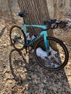 Trek Crockett photo