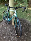 Trek Crockett photo