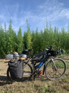 Trek CrossRip overseas poto photo