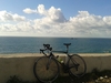 Trek Madone 5.2 photo