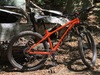 Trek Roscoe 8 photo