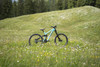 Trek Session 88 photo