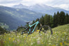 Trek Session 88 photo