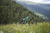 Trek Session 88 photo