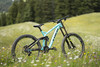 Trek Session 88 photo