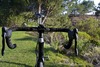 Trek T1 photo