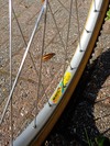 Trek Y-50 photo