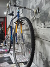 trescincuentaycuatro SScx photo