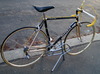 trevisan diamante 24 k costum road bike photo