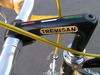 trevisan diamante 24 k costum road bike photo