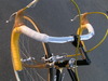 trevisan diamante 24 k costum road bike photo