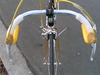 trevisan diamante 24 k costum road bike photo