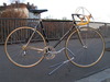 trevisan diamante 24 k costum road bike photo