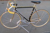 trevisan diamante 24 k costum road bike photo