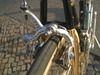 trevisan diamante 24 k costum road bike photo