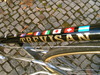 trevisan diamante 24 k costum road bike photo