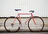 Pinarello Treviso Townie photo