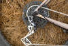 True Love Heart Breaker Monster Gravel photo