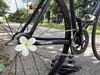 Tsunami SNM100 Fixed gear photo Tsunami SNM100 Fixed gear photo
