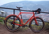 Twin Six Standard Rando (650b) photo