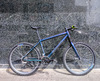 1999 Cannondale F1000 Chameleon paint photo