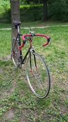 1953 Favorit Road bike photo