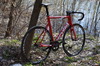 Ukrainian Cervelo T1 photo