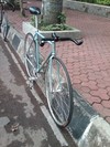 Umezawa Original Keirin Track Repaint photo