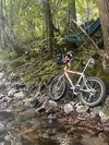 Unior 20" homemade cargo photo Unior 20" homemade cargo photo