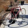 Univega fixed gear. photo