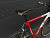 Van Dessel Campitello Rat photo