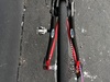 Van Dessel Campitello Rat photo