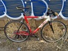Van Dessel Campitello Rat photo