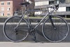 VAN NICHOLAS Chinook & 11s Campagnolo SR photo