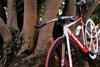 Velle (Cervelo) photo